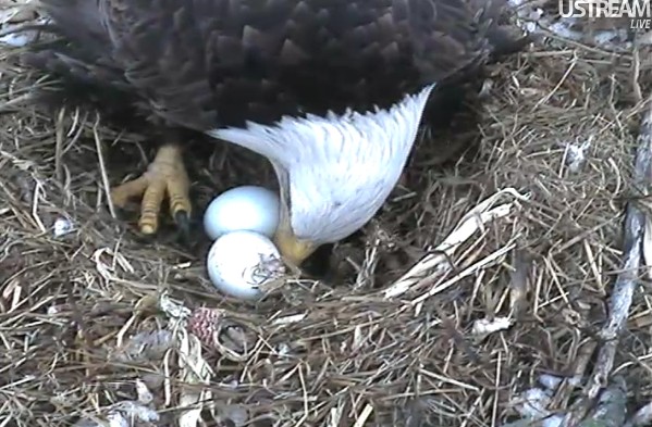 ScreenHunter_19 Feb. 21 10.59.jpg